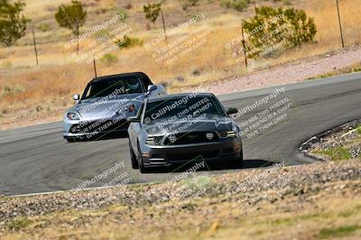 media/Mar-22-2025-West Coast Racing (Sat) [[0d49b412c8]]/Green Group/Session 3 (Turns 5 and 6)/